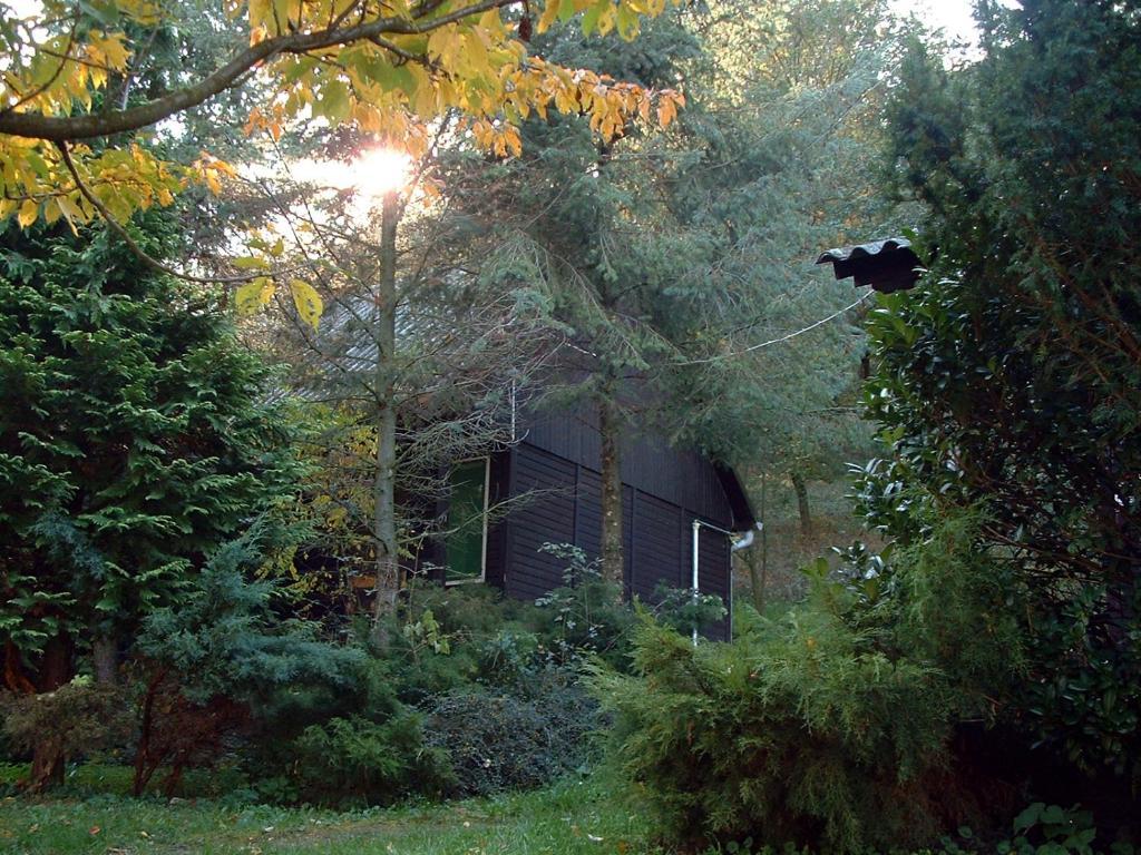 Vadregeny Panzio Bed & Breakfast Estergon Oda fotoğraf